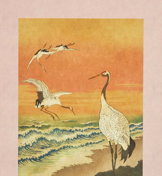 Art Print - Cranes - Fenton & Fenton