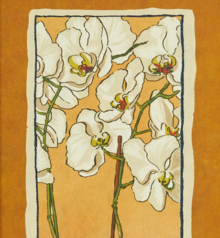 Art Print - Orchid - Fenton & Fenton