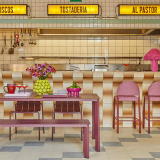 GAL-4 - Fenton & Fenton