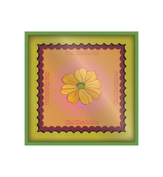 Art Print - Mexicola - Flower - Fenton & Fenton