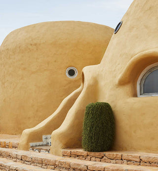 Dave Kulesza - DISTRICT 21 - Fenton & Fenton