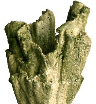 DGianna Studio - Bosa Vessel in Moss Green - Fenton & Fenton