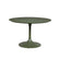 Rosie Dining Table in Cactus