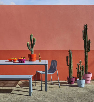 Cola4 - Fenton & Fenton