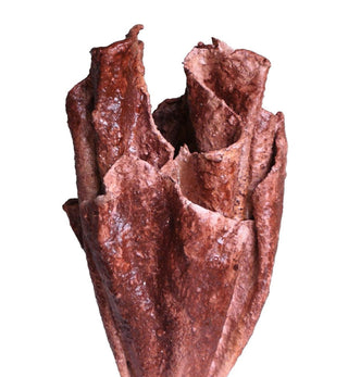 DGianna Studio - Bosa Vessel in Wine